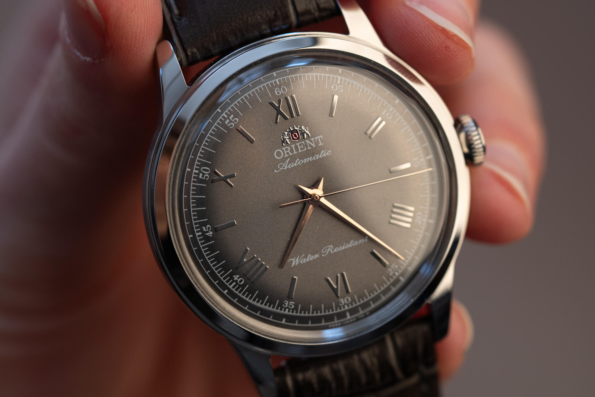 You're going to want these Orient Bambino watches!
